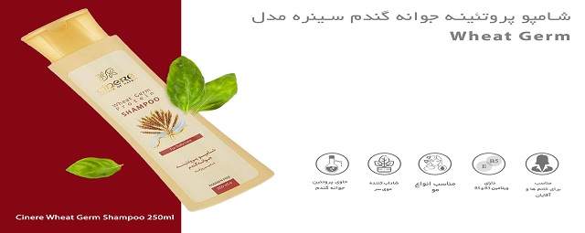 شامپو روزانه پروتئینه جوانه گندم سینره Cinere حجم ۲۵۰ میل